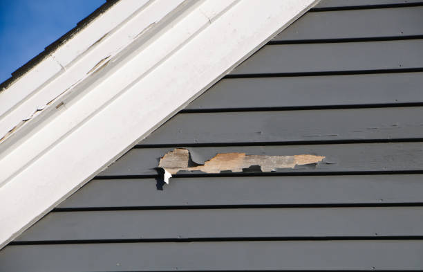 Affordable Siding Repair and Maintenance Services in Dagsboro, DE